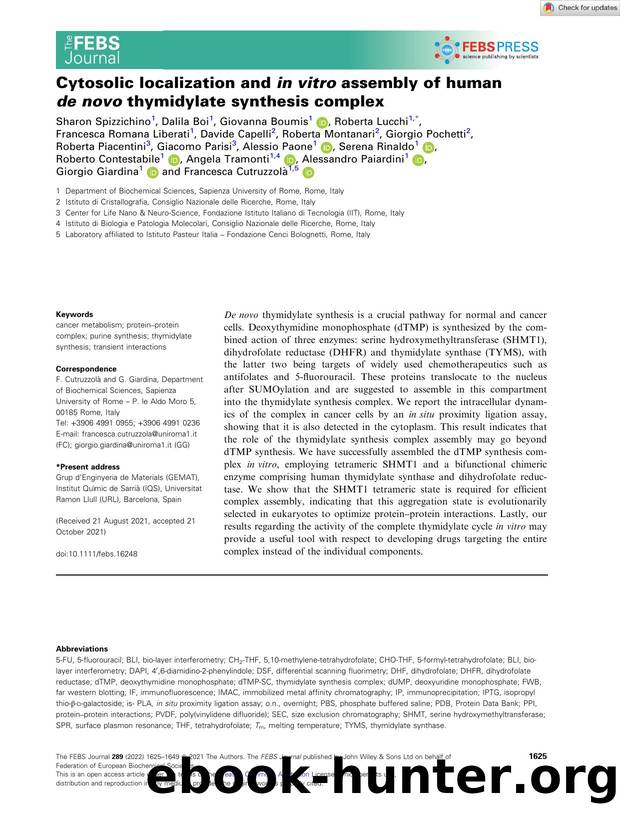 Cytosolic localization and inâvitro assembly of human deânovo thymidylate synthesis complex by Unknown