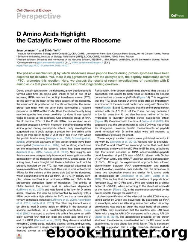 D Amino Acids Highlight the Catalytic Power of the Ribosome by Jean Lehmann & Shixin Ye
