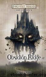 D&D - Forgotten Realms - Citadels 02 by Obsidian Ridge # Jess Lebow