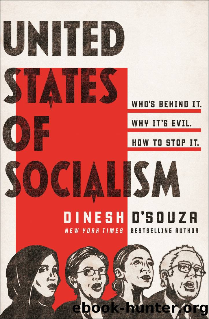 D'Souza, Dinesh - United States of Socialism by D'Souza Dinesh