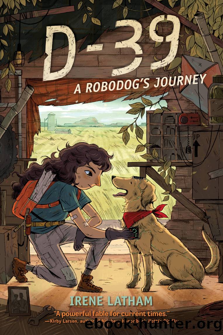 D-39 by Irene Latham