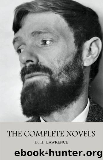 D. H. Lawrence: The Complete Novels by D. H. Lawrence
