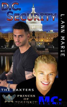 D.C. Security by L. Ann Marie