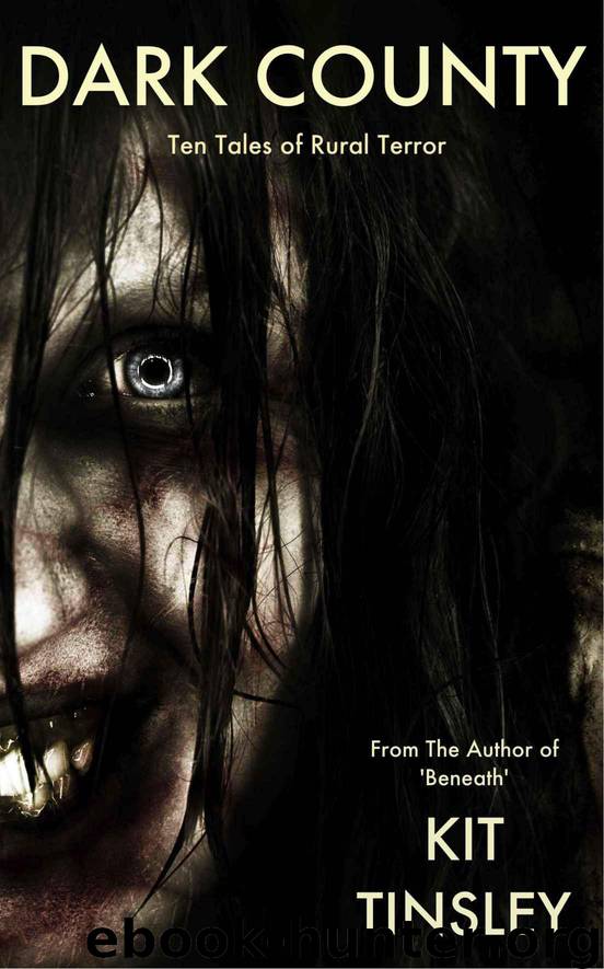 DARK COUNTY by Kit Tinsley