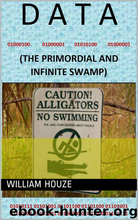 DATA: (THE PRIMORDIAL AND INFINITE SWAMP) by William Houze