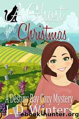 DBM01 - A Ghost for Christmas by Winters J D