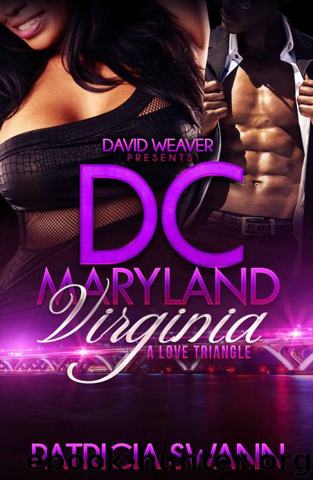 DC Maryland Virginia: A Love Triangle by Patricia Swann