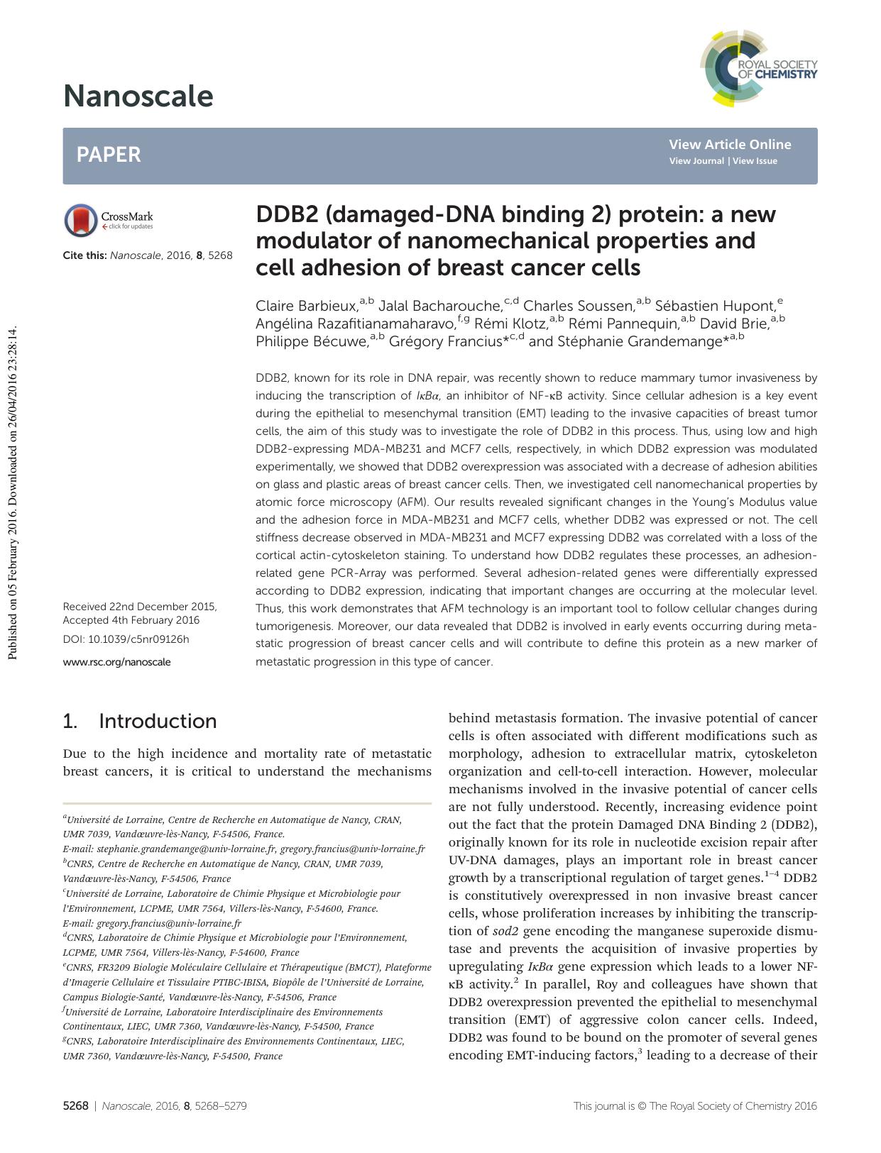 DDB2 (damaged-DNA binding 2) protein: a new modulator of nanomechanical properties and cell adhesion of breast cancer cells by unknow