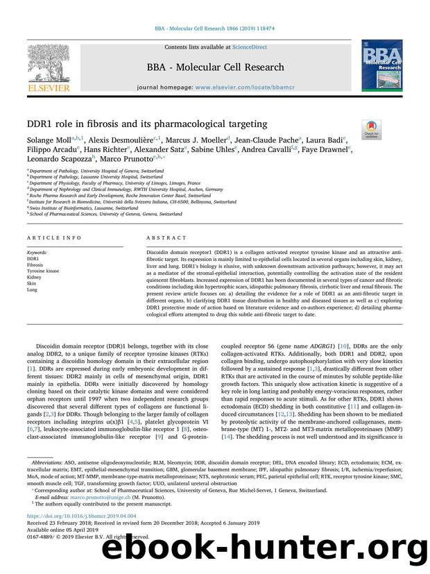 DDR1 role in fibrosis and its pharmacological targeting by unknow