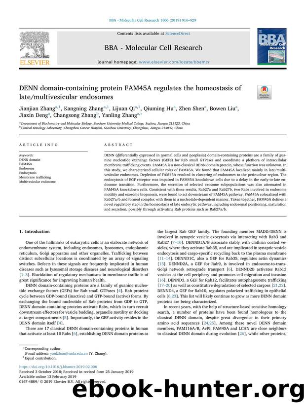 DENN domain-containing protein FAM45A regulates the homeostasis of latemultivesicular endosomes by unknow