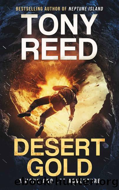 DESERT GOLD (A Monk and Lee Adventure Book 2) by Tony Reed