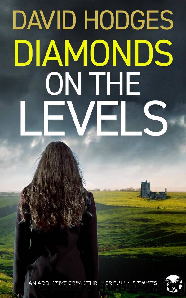 DIAMONDS ON THE LEVELS an addictive crime thriller full of twists by DAVID HODGES