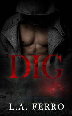 DIG: A Second Chance Romance by L.A. Ferro