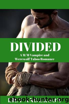 DIVIDED by Lily Anderson