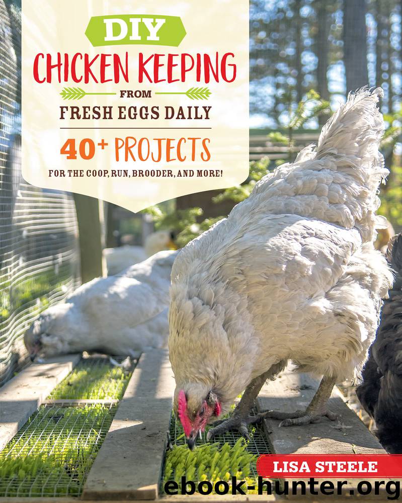 DIY Chicken Keeping from Fresh Eggs Daily by Lisa Steele