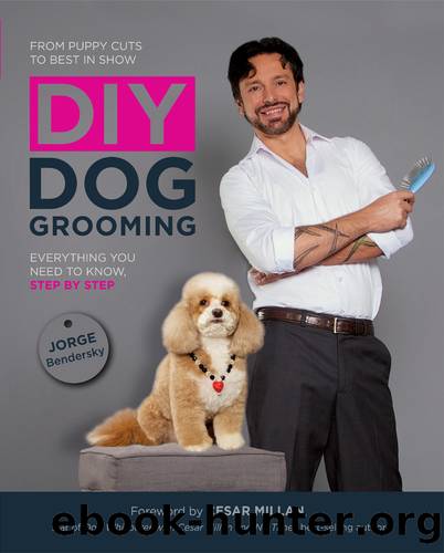 DIY Dog Grooming, From Puppy Cuts to Best in Show by Jorge Bendersky