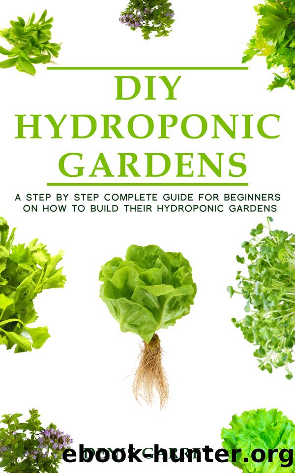 DIY Hydroponic Gardens: A Step by Step the complete guide for beginners on how to build their hydroponic gardens by Denis Garret
