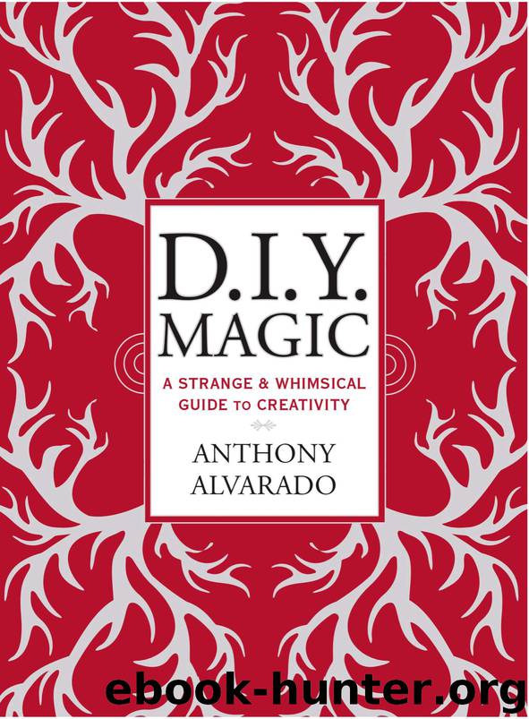 DIY Magic by Anthony Alvarado