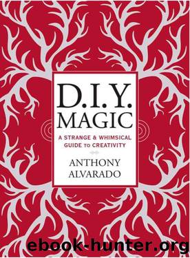 DIY Magic: A Strange and Whimsical Guide to Creativity by Anthony Alvarado
