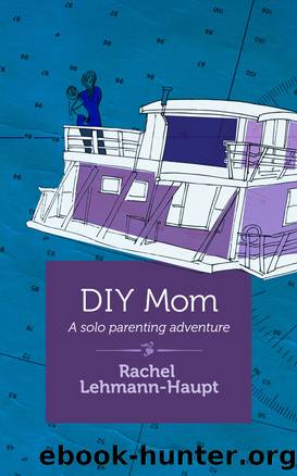 DIY Mom by Rachel Lehmann-Haupt
