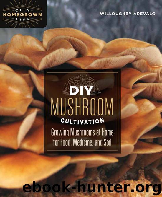 DIY Mushroom Cultivation by Willoughby Arevalo