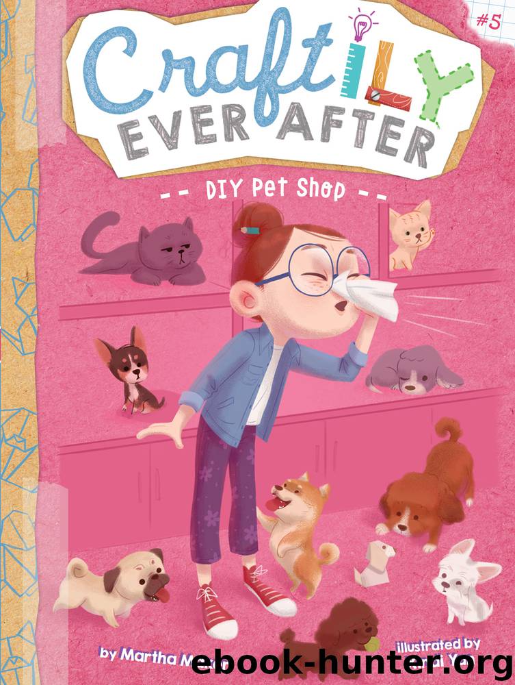DIY Pet Shop by Martha Maker & Xindi Yan