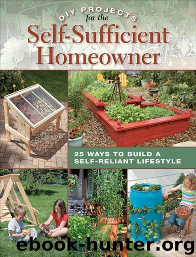DIY Projects for the Self-Sufficient Homeowner: 25 Ways to Build a Self-Reliant Lifestyle by Matheson Betsy