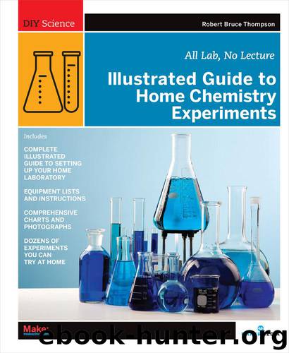 DIY Science: Illustrated Guide to Home Chemistry Experiments: All Lab, No Lecture by Robert Bruce Thompson
