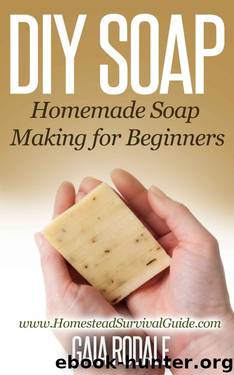DIY Soap: Homemade Soap Making for Beginners (Sustainable Living & Homestead Survival Series) by Gaia Rodale