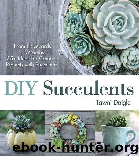 DIY Succulents: From Placecards to Wreaths, 35+ Ideas for Creative Projects with Succulents by Daigle Tawni