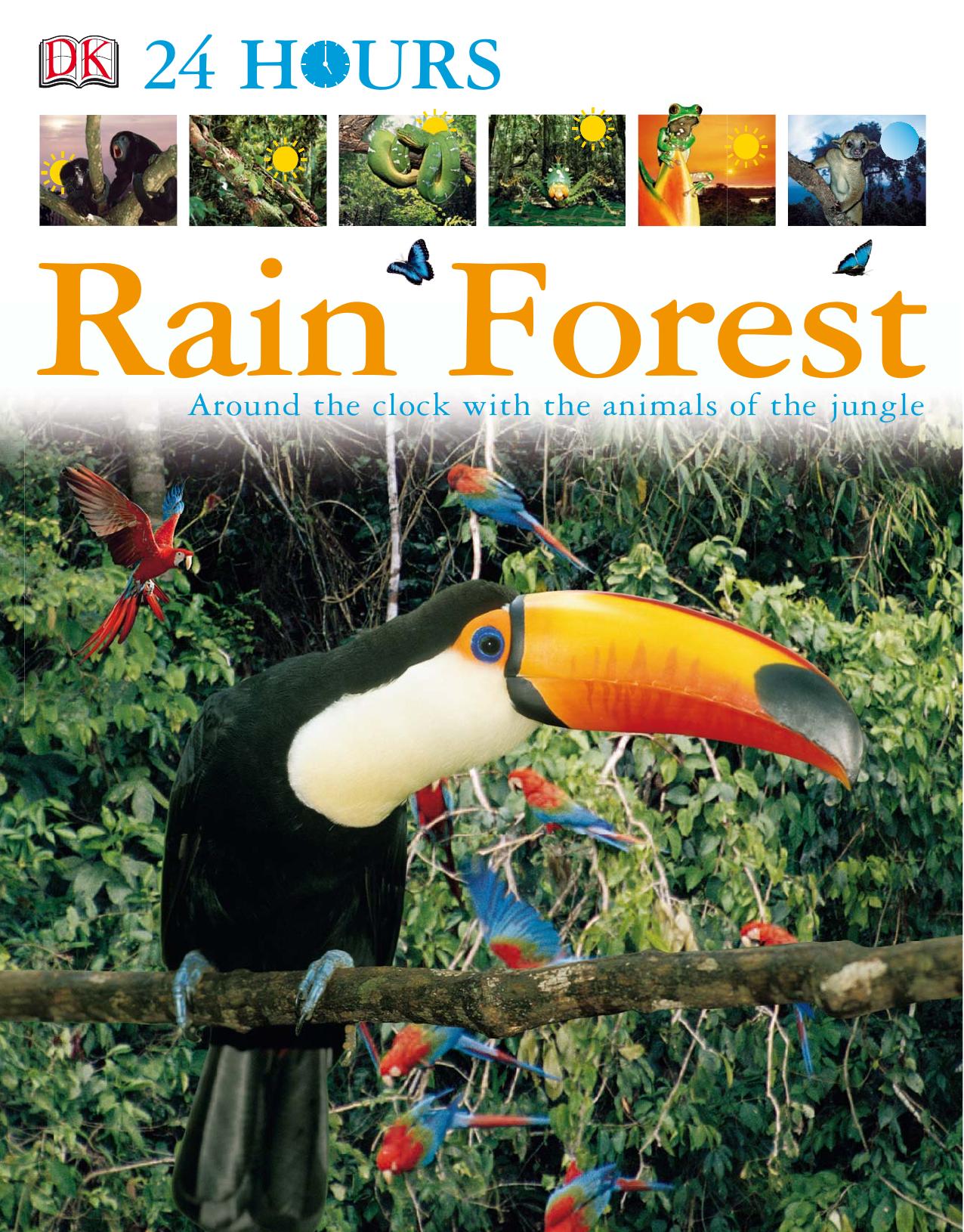 DK 24 Hours: Rain Forest by DK Publishing by Unknow