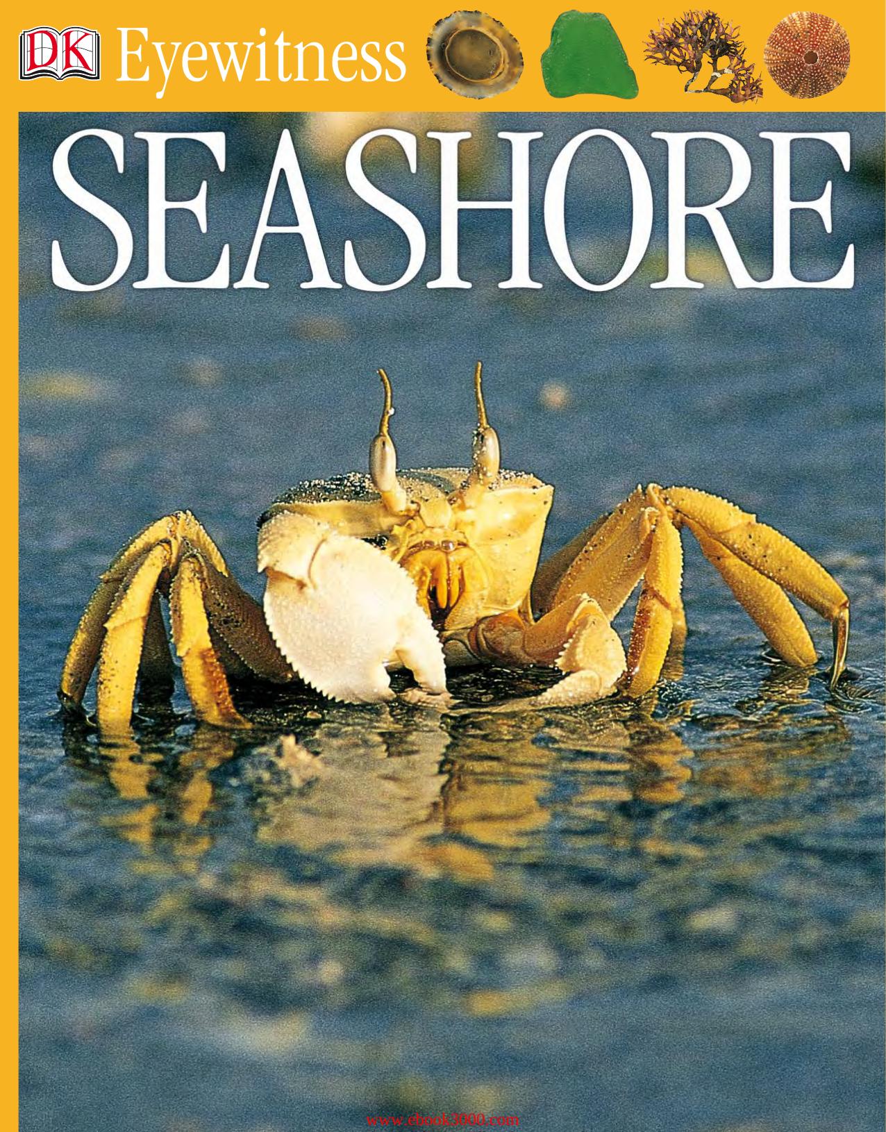 DK Eyewitness Books: Seashore by Unknow
