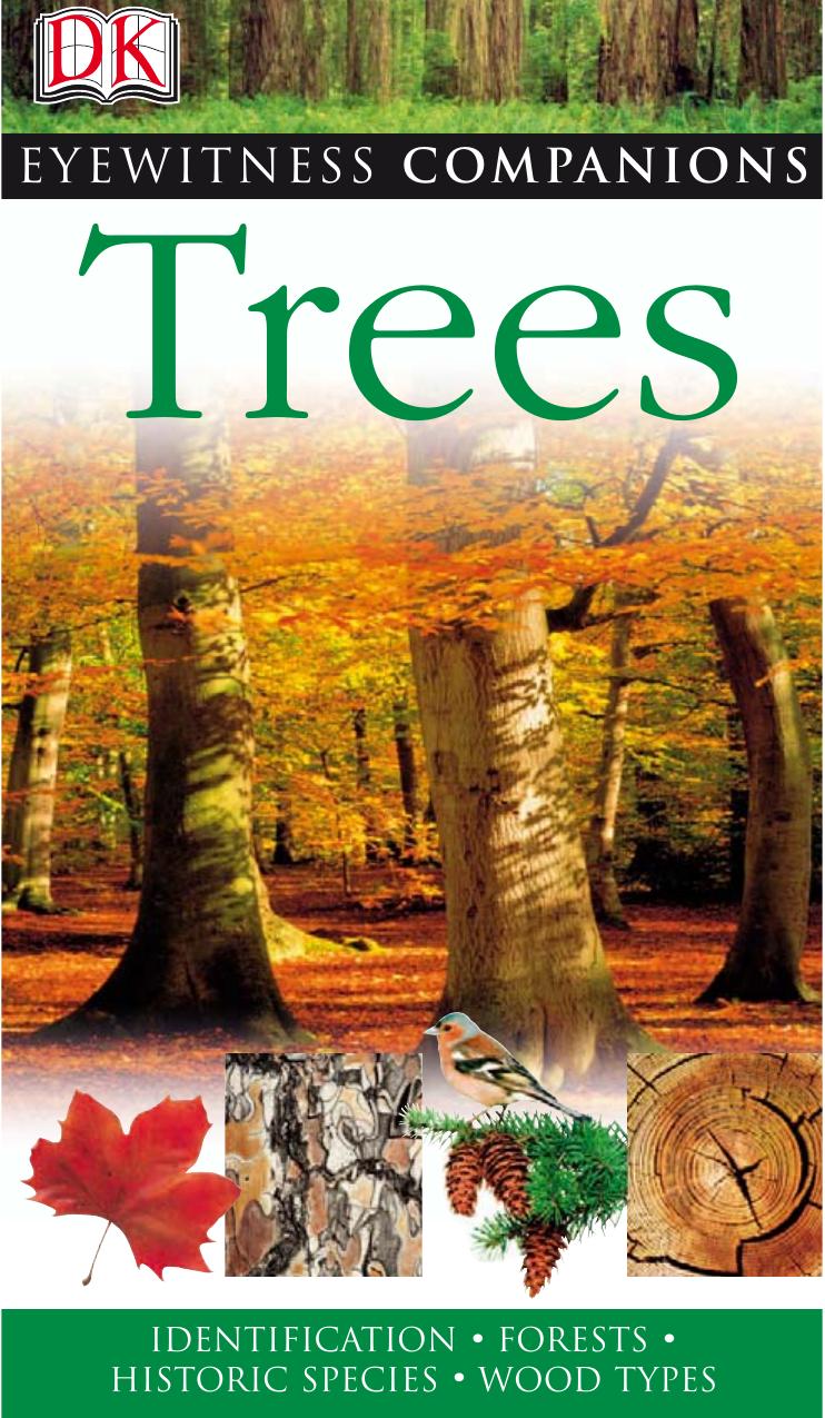 DK Eyewitness Companion of Trees by Unknown