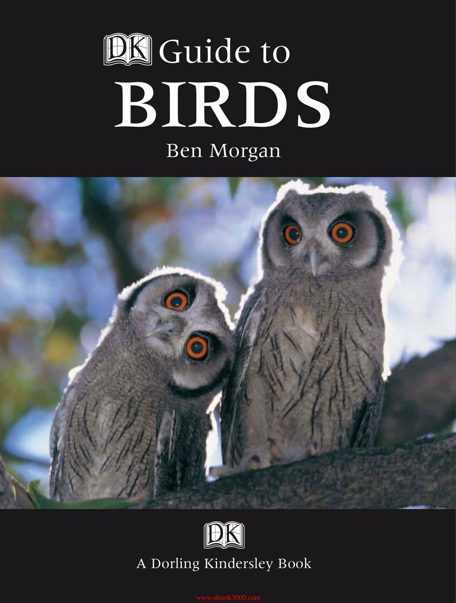 DK Guide to Birds (DK Guides) by Unknow