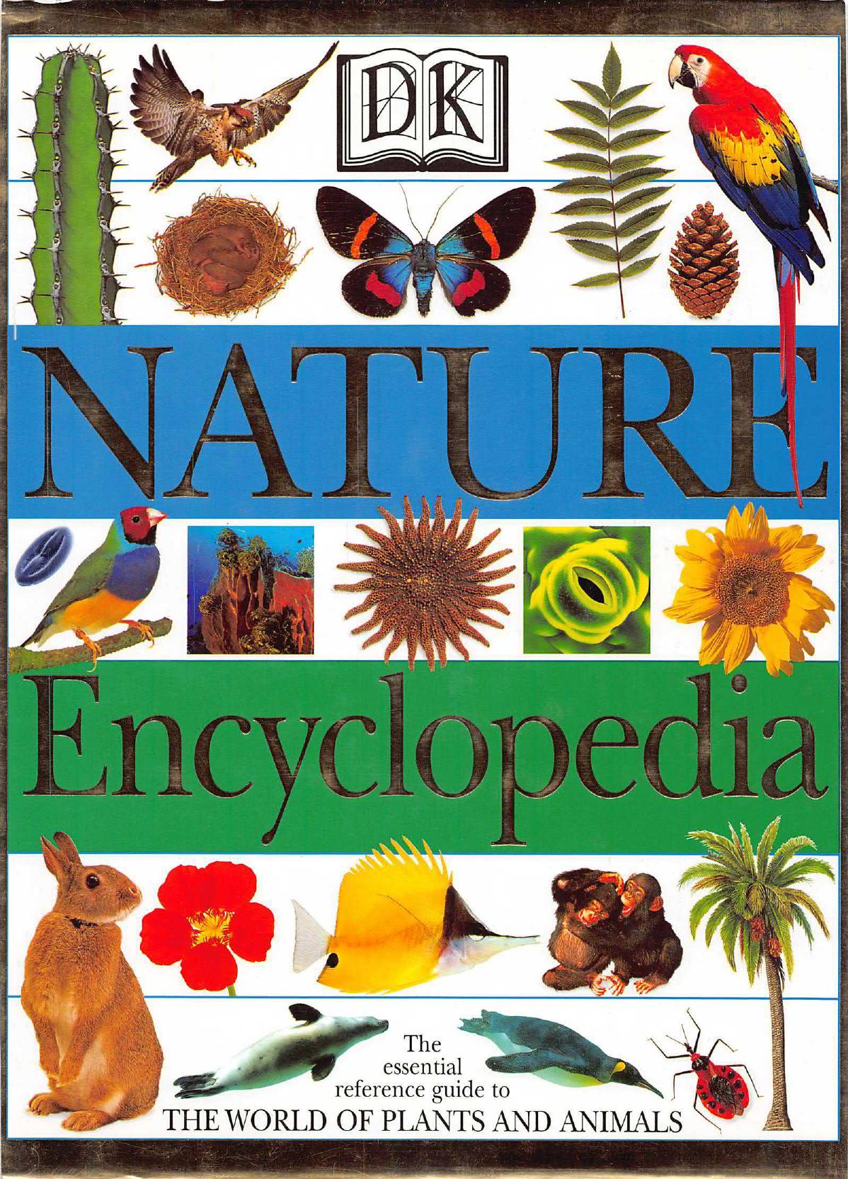 DK Nature Encyclopedia by DK Publishing