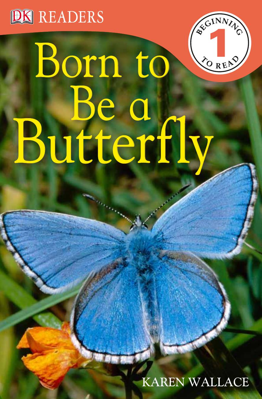 DK Readers L1: Born to Be a Butterfly by Unknow