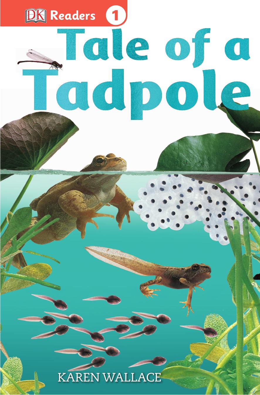 DK Readers L1: Tale of a Tadpole by Unknow