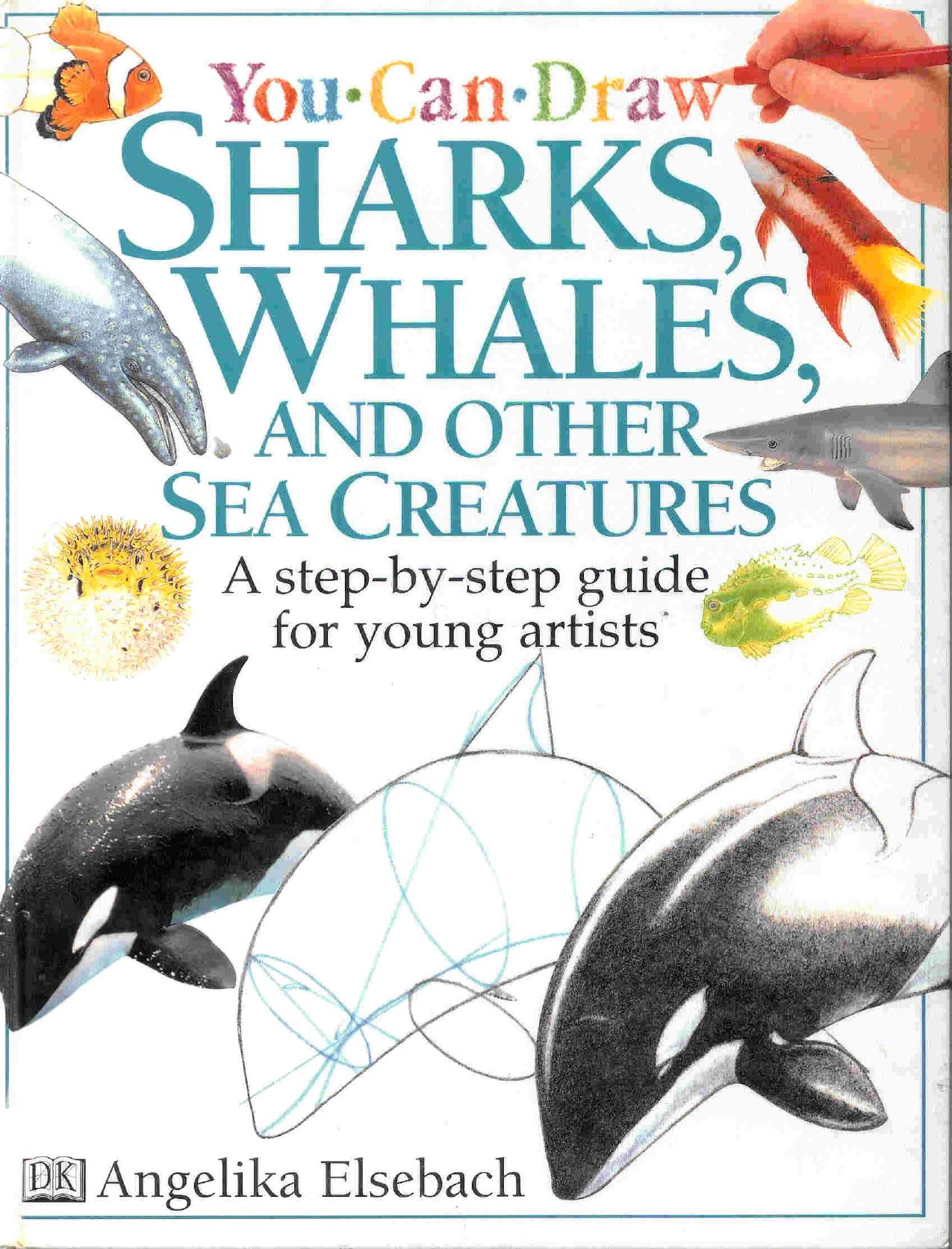 DK You Can Draw Sharks, Whales, and Sea Creatures by Unknown