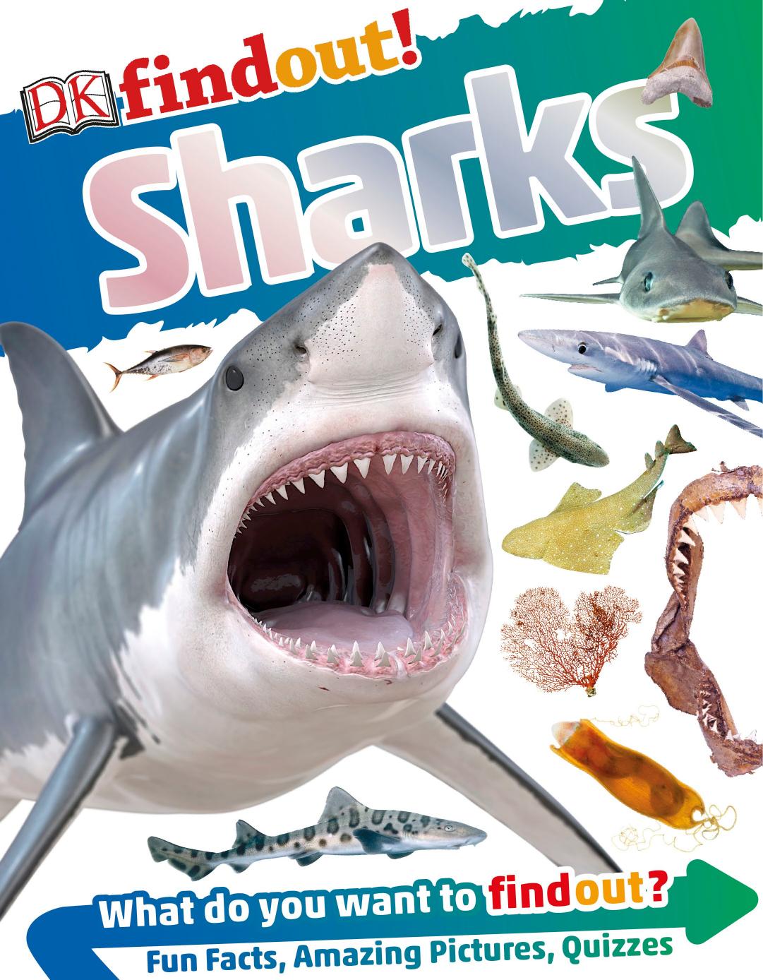 DK findout! Sharks by Unknow