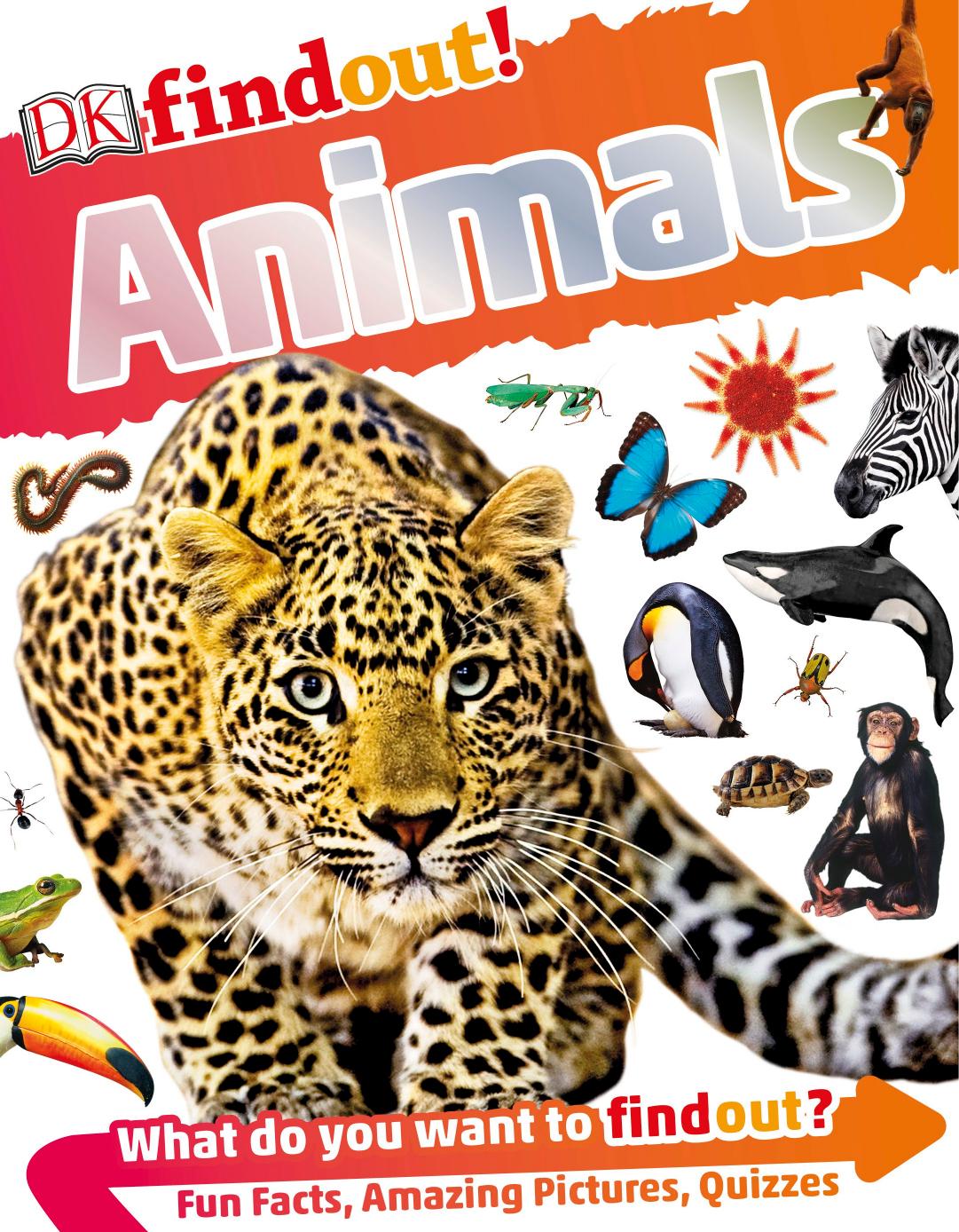 DKfindout! Animals by DK