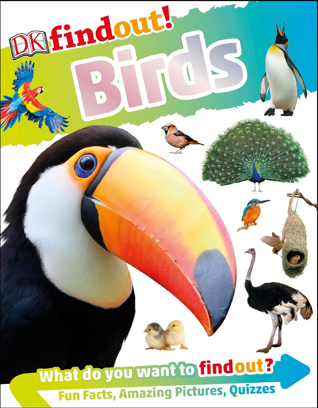 DKfindout! Birds by DK