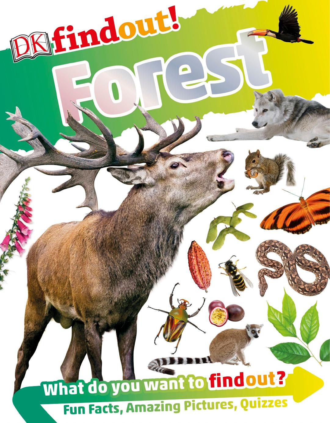DKfindout! Forest by DK