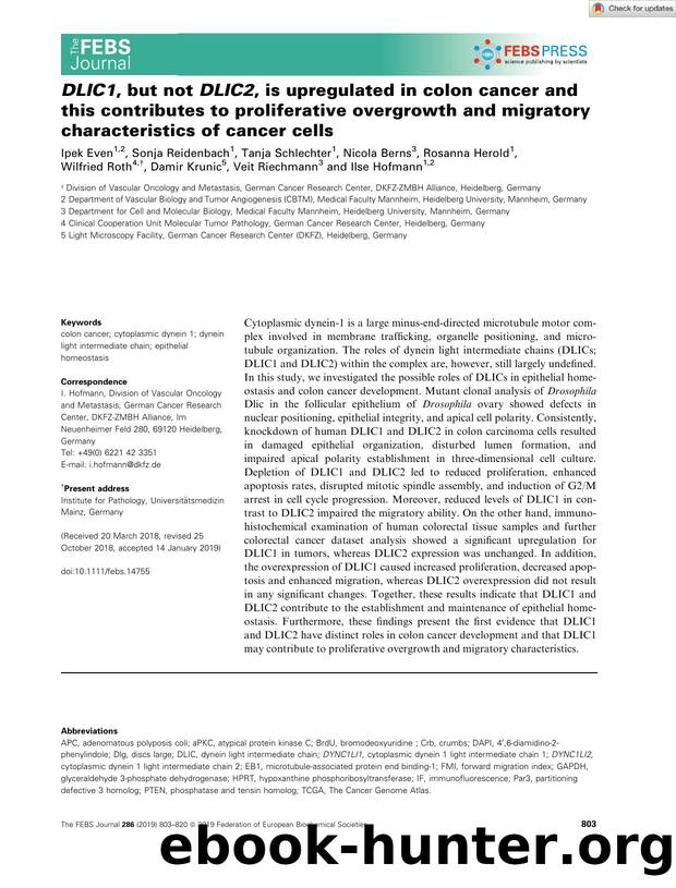 DLIC1, but not DLIC2, is upregulated in colon cancer and this contributes to proliferative overgrowth and migratory characteristics of cancer cells by Unknown
