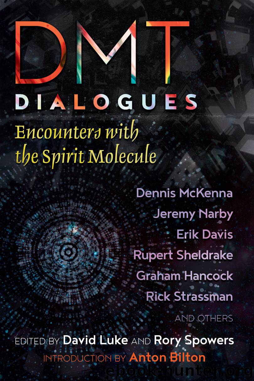DMT Dialogues by David Luke