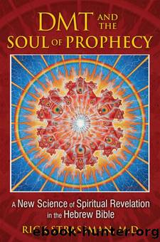 DMT and the Soul of Prophecy: A New Science of Spiritual Revelation in the Hebrew Bible by Rick Strassman