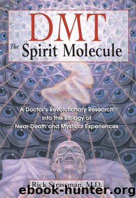 DMT: The Spirit Molecule: A Doctor's Revolutionary Research into the Biology of Near-Death and Mystical Experiences by Strassman M.D. Rick