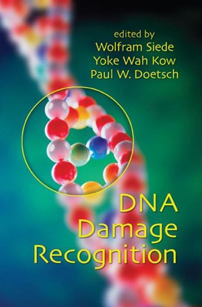 DNA Damage Recognition by W. Siede Y. Kow P. Doetsch