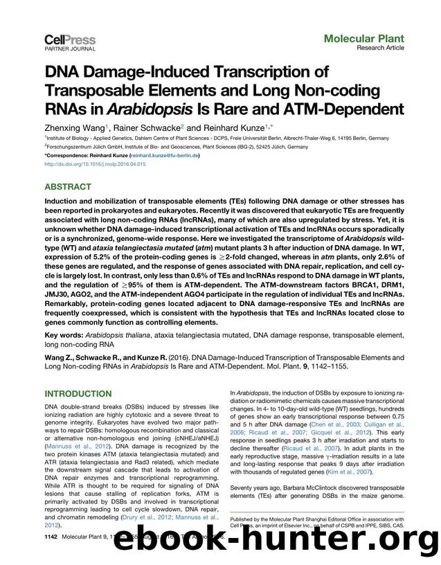 DNA Damage-Induced Transcription of Transposable Elements and Long Non-coding RNAs in Arabidopsis Is Rare and ATM-Dependent by Zhenxing Wang & Rainer Schwacke & Reinhard Kunze