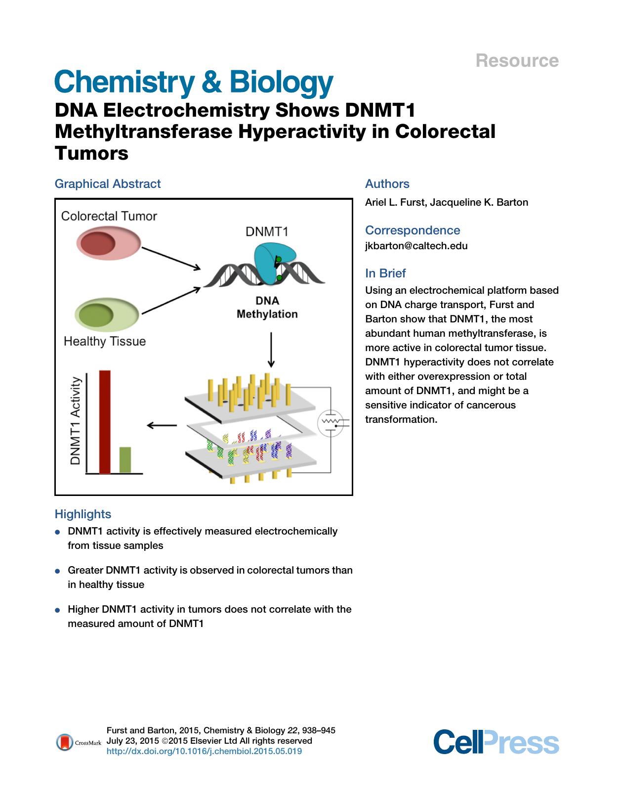 DNA Electrochemistry Shows DNMT1 Methyltransferase Hyperactivity in Colorectal Tumors by Ariel L. Furst & Jacqueline K. Barton