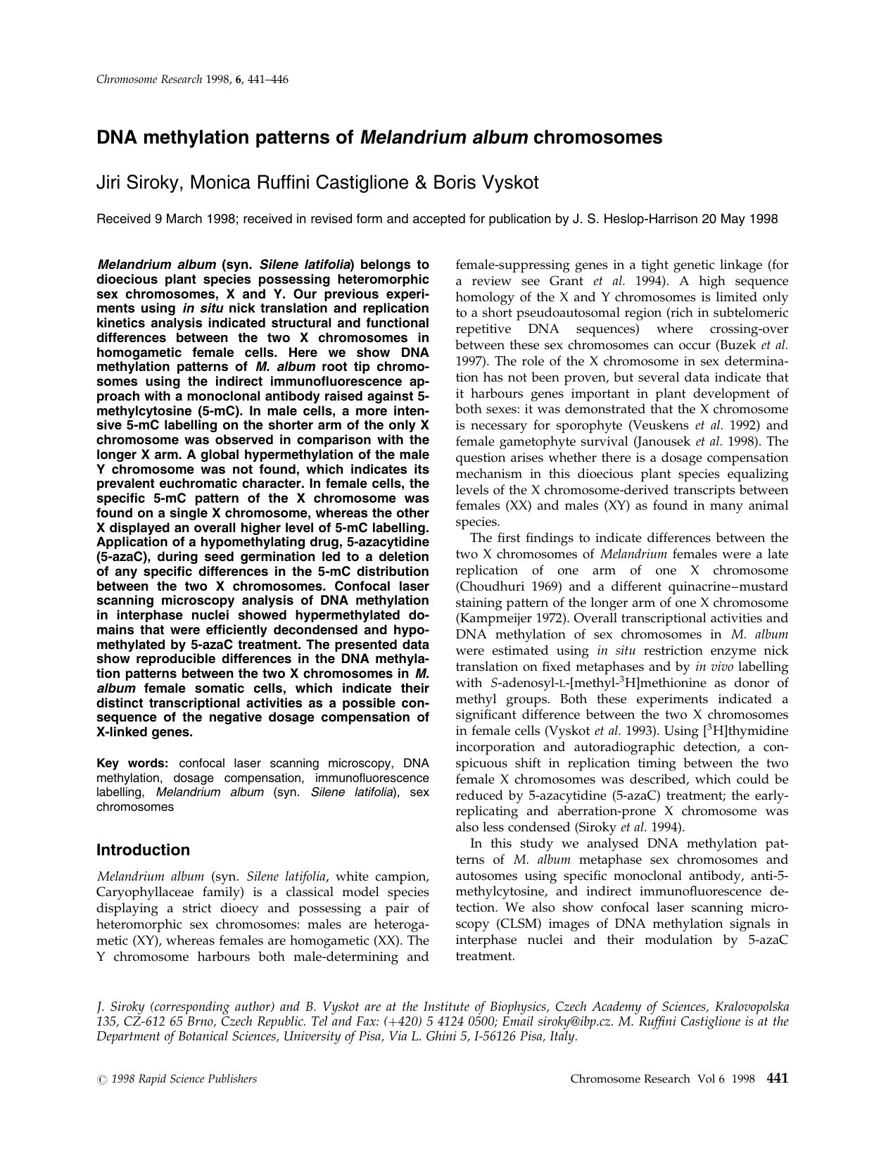 DNA Methylation Patterns of Melandrium Album Chromosomes by Unknown